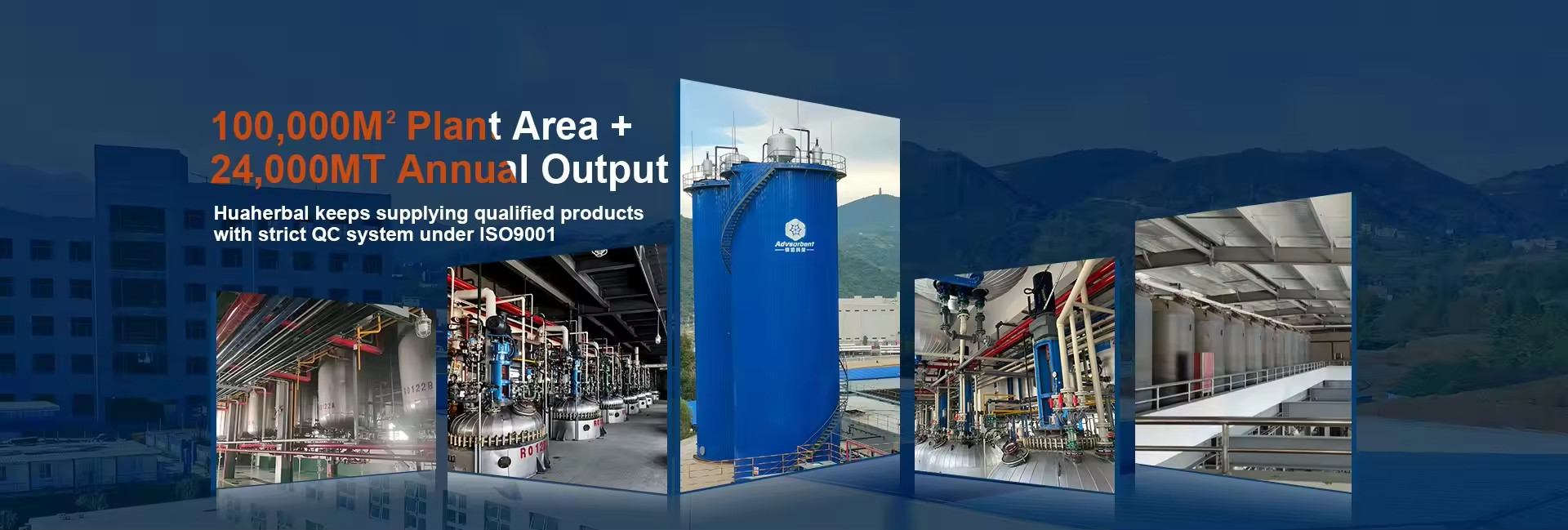 résine d'échange anionique