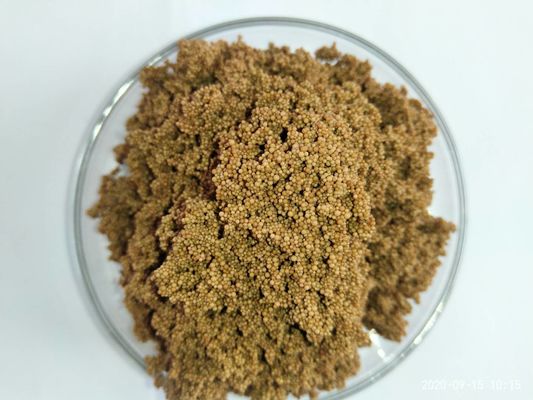 Secteurs de l'impression de revêtements chimiques pharmaceutiques Résine d'adsorption macroporeuse de qualité industrielle pour une élimination efficace des COV